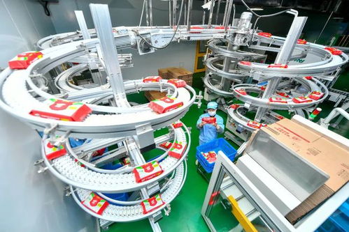 聚焦中小企業(yè)紓困幫扶 優(yōu)化財(cái)稅法治環(huán)境助力消毒器械銷售企業(yè)